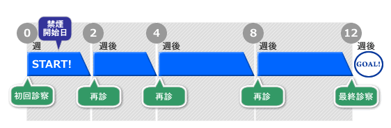 保険診療による禁煙治療スケジュール